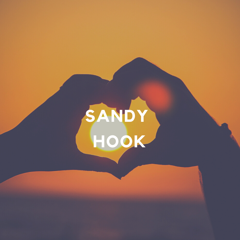 Sandy Hook Shooting